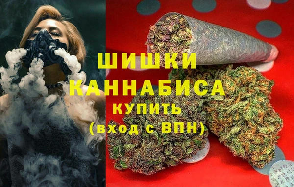 ПСИЛОЦИБИНОВЫЕ ГРИБЫ Михайловка