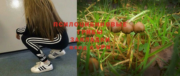 ПСИЛОЦИБИНОВЫЕ ГРИБЫ Михайловка