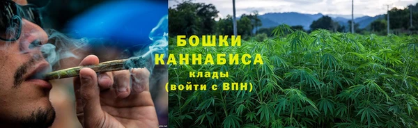 ГАЛЛЮЦИНОГЕННЫЕ ГРИБЫ Михайловск