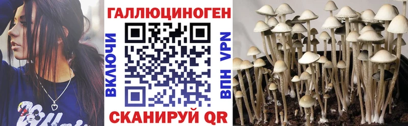 Галлюциногенные грибы прущие грибы  кракен вход  Макушино  закладка 
