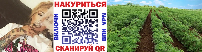 Каннабис ГИДРОПОН  что такое наркотик  кракен маркетплейс  shop телеграм  Макушино 